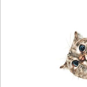 Meet your Posher, Jess